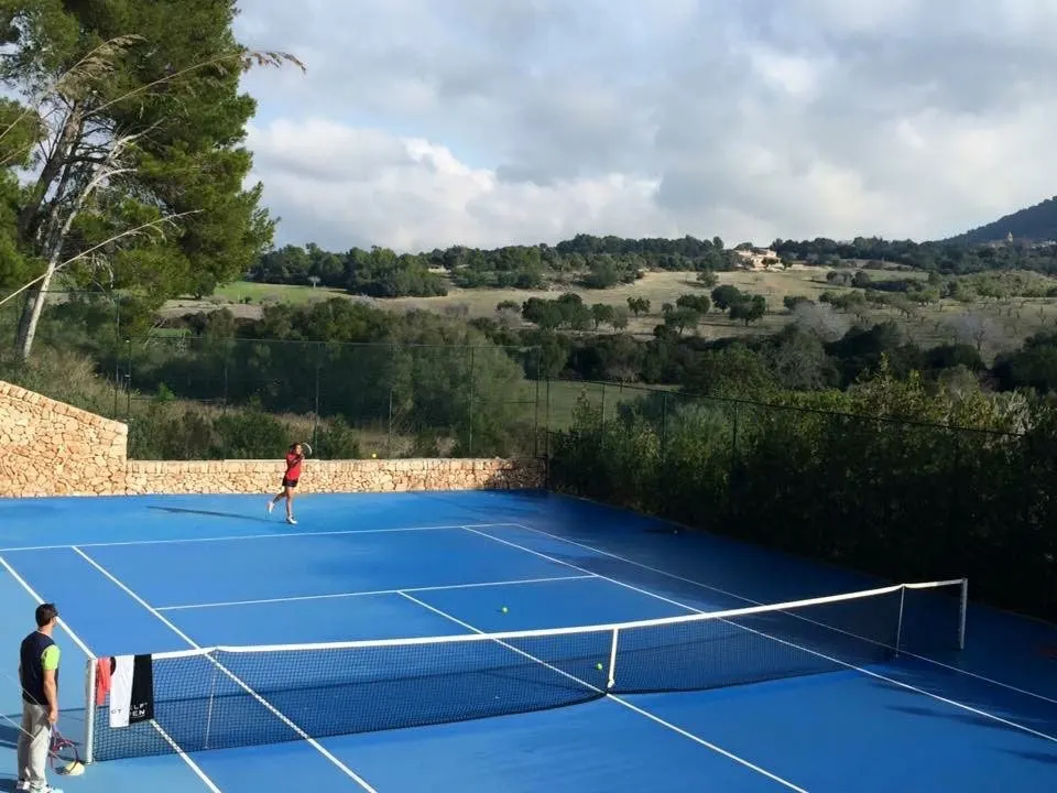 Le court et les pins autour des installations