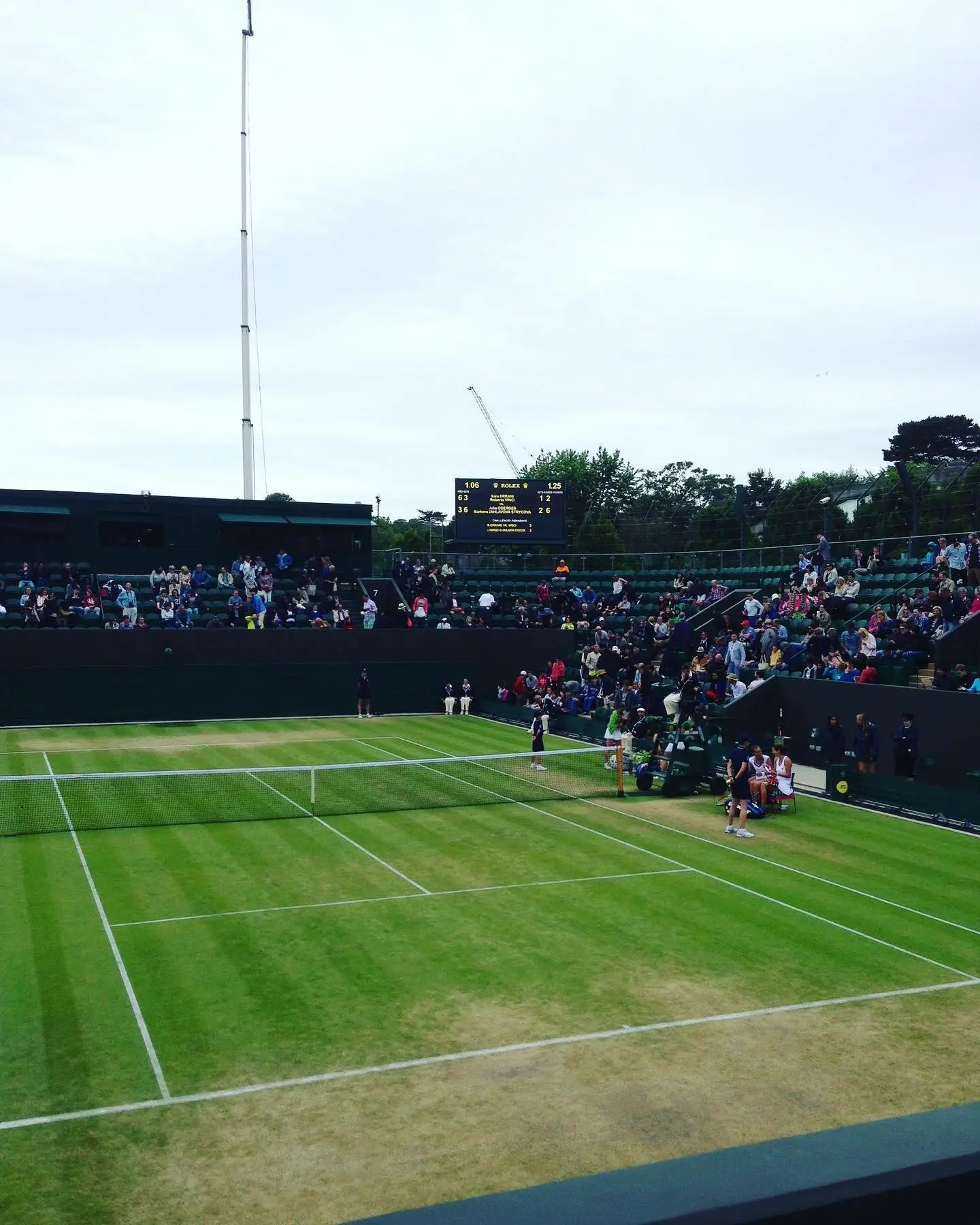Court en gazon à Wimbledon